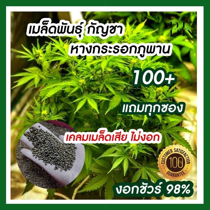 My Image 34