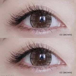 💋 สุดปัง มีค่าสายตา 💋 Wink Shimmer Gray Brown Black บิ๊กอาย สุดปัง คอนแทคเลนส์ รายเดือน มีอย แถมตลับฟรี เลนส์นิ่ม สวยปัง