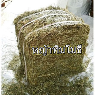 ราคาหญ้ากระต่าย ทิมโมธี ยกฟ่อน 5 kg