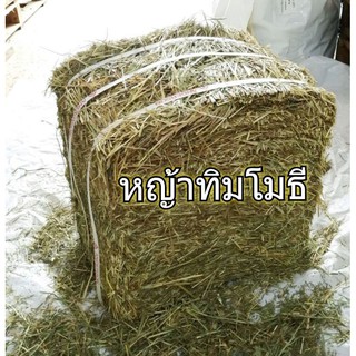 หญ้ากระต่าย ทิมโมธี ยกฟ่อน 5 kg