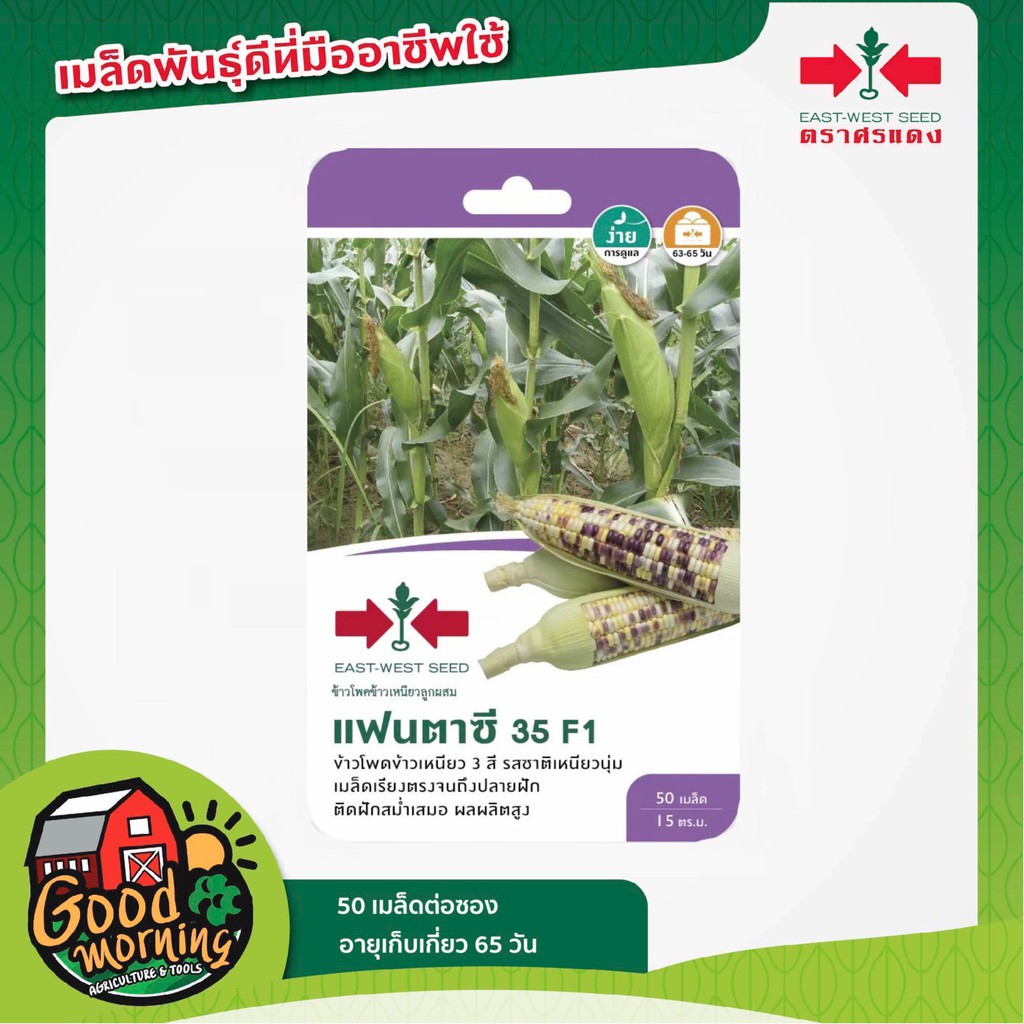 SORNDAENG ผักซอง ศรแดง S040# ข้าวโพดข้าวเหนียว แฟนตาซี 35 F1 เมล็ดพันธุ์ เมล็ดพันธุ์ผัก ผักศรแดง ตราศรแดง