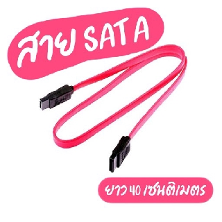 สาย SATA 2 ยาว 40 เซนติเมตร Cable SATA