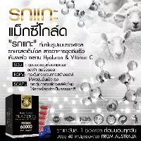 {อายุ40แต่ผิว25หน้าเด็ก}รกแกะเบบี้ชีพแม็กซี่โกลด์Placenta Maxi Gold40แคปซูล