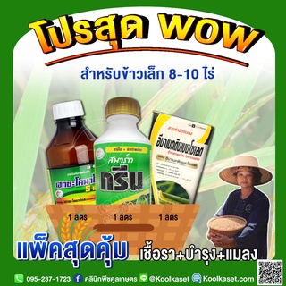 ชุดกำจัดหนอน เชื้อรา บำรุงข้าวเล็ก 8-10 ไร่ ป้องกัน กำจัดหนอน  เพลี้ยไฟ แตกกอดี ใบไหม้ เมล็ดด่าง บำรุงต้นเขียว คูลเกษตร