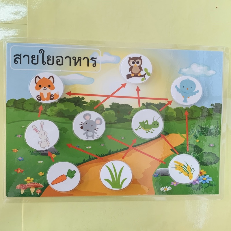 #ปริ้นท์ #กระดาษการ์ดขาว #เคลือบร้อน #ขนาดเท่าA4 #สีสันสวยงาม