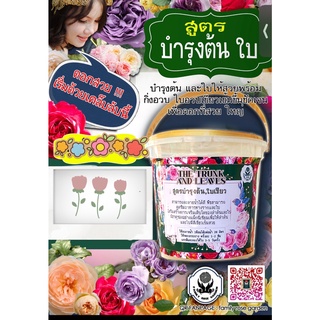 บำรุงใบและต้นกุหลาบ ไม้ดอก ไม้ประดับ และพืชทุกชนิดใช้ร่วมกันได้