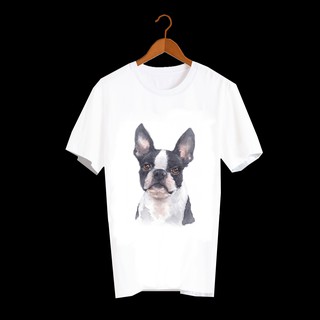 เสื้อลายหมา DBT001 boston-terrier เสื้อยืด เสื้อยืดลายหมา เสื้อยืดสกรีนลายหมา