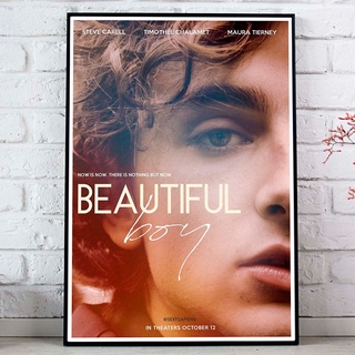 Beautiful Boy Poster (2018) แด่ลูกชายสุดที่รัก Timothee Chalamet, Steve Carell