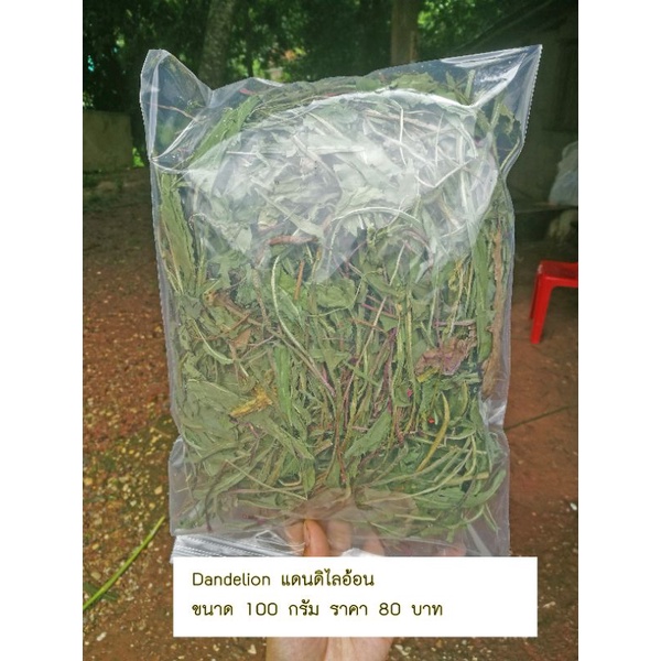 แดนดิไลออนอบแห้งพรีเมี่ยม