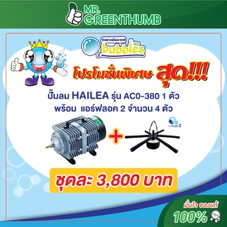 โปรโมชั่น ชุดเติมอากาศพร้อมใช้ Airfloc2 กับ ปั๊มลม HAILEA รุ่น ACO-380