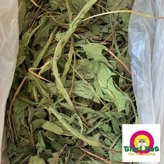 แดนดิไลอ้อน Dandelion ต้นหญ้าสำหรับสัตว์เลี้ยงฟันแทะ หญ้ากระต่าย อาหารเสริมกระต่าย