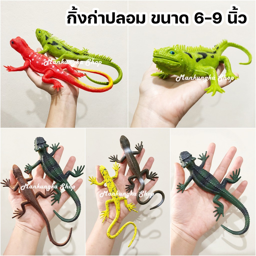 (ขนาดหัว-หาง 6-9 นิ้ว) กิ้งก่า สัตว์เลื้อยคลาน สัตว์ปลอม ของเล่นปลอม ของเล่นแกล้งคน ของเล่นเด็ก [2]