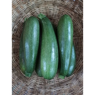 ซูกินี บวบฝรั่ง zucchini