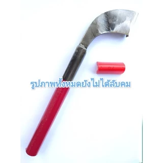 มีดกรีด-ตัดยาง ลับคมแล้ว เบตงแท้ (ด้ามแดง) พร้อมใช้งาน ใบมีดกว้าง ใช้ได้นาน รับประกันคมนาน