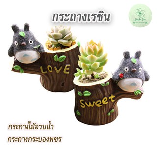 กระถางเรซินโตโตโร่ กระถางแคตตัส กระถางไม้อวบน้ำ กระถางกระบองเพชร Totoro ของแต่งบ้าน จัดสวน ประถางจิ๋ว