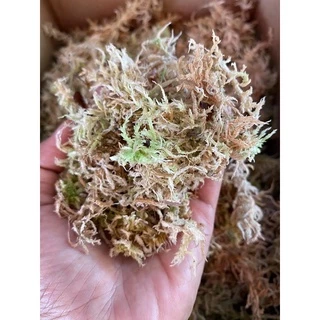 สแฟกนั่มมอส fresh (sphagnummoss) 200 กรัม