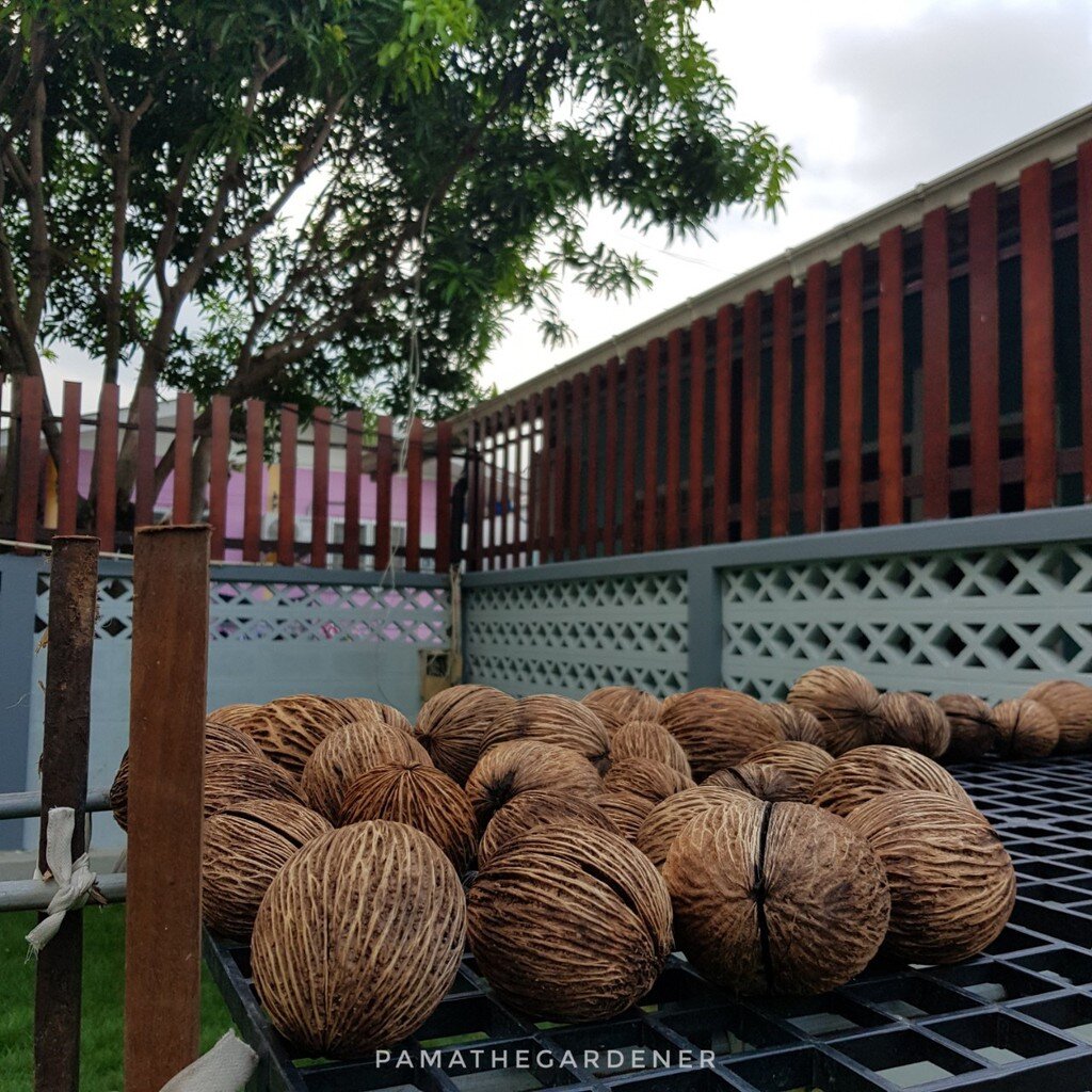 มุมมอง 3