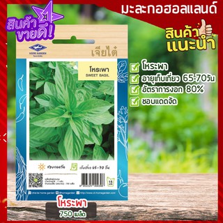 เจียไต๋ 🥦 โหระพา 750 เมล็ด เมล็ดพันธ์ุ ผักสวนครัว เมล็ดผัก เมล็ดพันธ์ุเจียไต๋