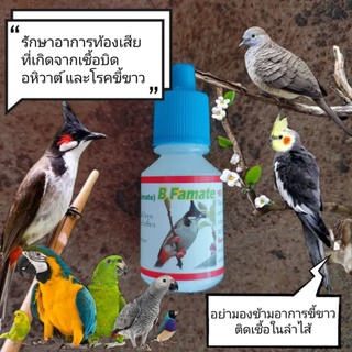 ยานก (มีวิธีการใช้ข้างขวด) แก้บิดในนก แก้ท้องเสียนก อหิวาต์นก บีฟาเมท