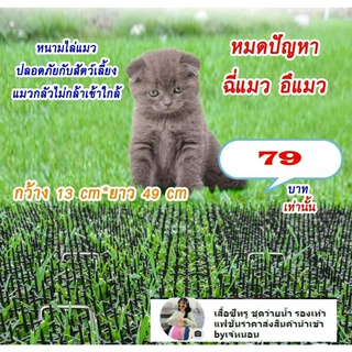 Chasing cat หนามไล่แมว ยาว49 CM ไล่แมวขี้ ที่ไล่แมว ไล่แมวไม่ให้ขั้นรถ หนามไล่แมว ไล่แมวบนหลังคา ปลอดภัย ที่ไล่แมว ไล่แม