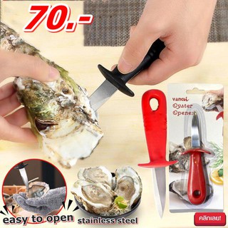 มีดแกะเปลือกหอยมืออาชีพ / Oyster Opener