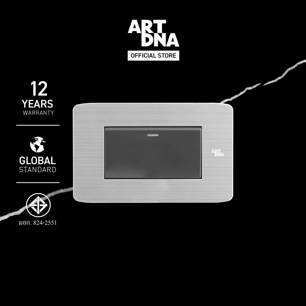 ART DNA รุ่น A89 Switch 1 Way Size M สีสแตนเลส + สีเทา ขนาด 2x4" design switch สวิตซ์ไฟโมเดิร์น สวิตซ์ไฟสวยๆ