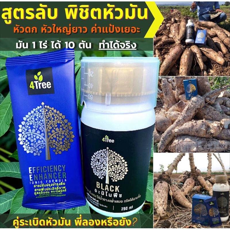 คู่ระเบิดหัวมัน Bio Black + 4Tree อินทรีแท้100%