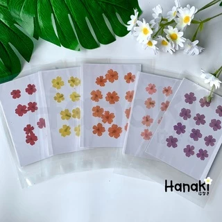 【พร้อมส่ง】ดอกเวอร์บีน่า ดอกเวอร์บีน่าทับ ดอกไม้ทับแห้ง ดอกไม้จริงทับแห้ง Pressed Flowers💐