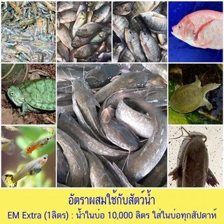 EM หัวเชื้อจุลินทรีย์ อีเอ็มชีวภาพ (ขนาด1ลิตร)