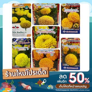 เมล็ดพันธุ์ดอกดาวเรือง ภูเขาทอง มี 7 เมล็ดพันธุ์