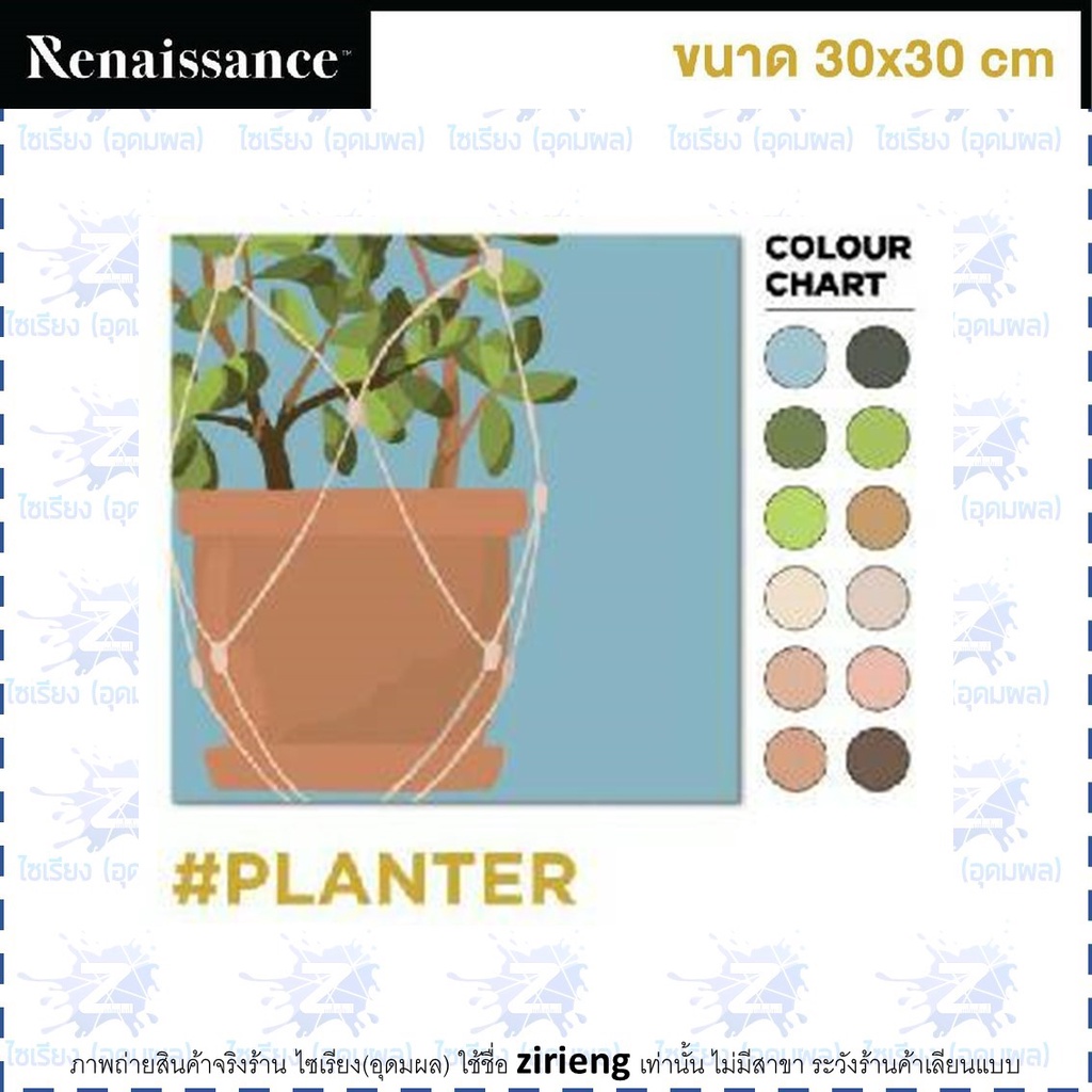 ชุดแคนวาส ระบายสีตามตัวเลข Renaissance Paint by Number Kit