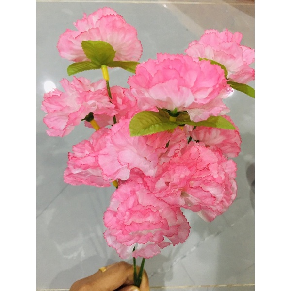 Flowers 10 บาท ช่อดอกไม้ ช่อดอกคาเนชั่นสีชมพู คาเนชั่น1ช่อ5ดอก คาเนชั่นราคาส่ง Home & Living