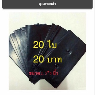 ถุงเพาะกล้า 3*5 นิ้ว 20ใบ