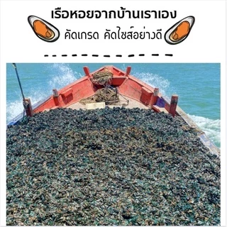 หอยแมลงภู่ตากแห้ง หอม สะอาด อร่อย ไม่เค็ม 500 กรัม และ 1 กิโลกรัม