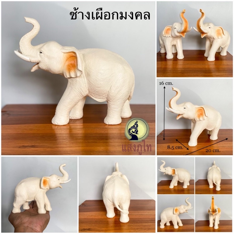 รูปปั้นช้าง ช้างเผือก ช้างเผือกอุดมสมบูรณ์ตามตำรา ช้างชูงวง ชูความสำเร็จ แก้บน ตั้งศาล ช้างนำโชค