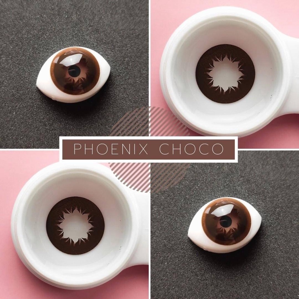 💜 Phoenix Choco Brown บิ๊กอาย สีช็อคโก้ สีน้ำตาล แบ๊ว ตาโต Dream Color1 Contact Lens Bigeyes คอนแทคเลนส์ สายตาสั้น