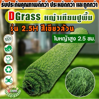 หญ้าเทียม ปูพื้น Dgrass หญ้าเทียมตกแต่งสวน สีเขียว(ด้าน) ความสูง 2.5 ซม. รุ่น (2.5H เขียวล้วน)