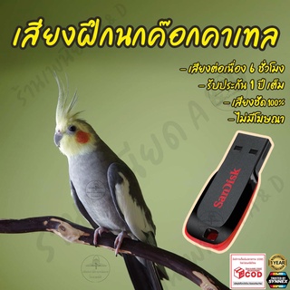 รวมเพลงฝึก นกค๊อกคาเทล Cockatiel ยาว6ชั่วโมง ไม่มีโฆษณา แฟลชไดร์ฟ(Flash Drive) มีเก็บเงินปลายทาง