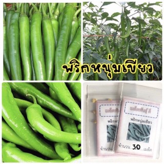 เมล็ดพันธุ์ พริกหนุ่มเขียว 30 เมล็ด พริกหนุ่ม พริก (ซื้อ 10 แถม 1 คละอย่างได้)