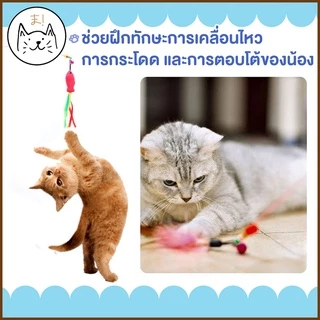 KUMA まไม้ตกแมวคันเบ็ดโค้ง ยาว 1เมตร ปลายขนนก ปลายตุ๊กตาปลา แบบลวดสลิง ไม้ตกแมว ไม้ล่อแมว ของเล่นแมว ไม้ตกแมวแบบสปริง