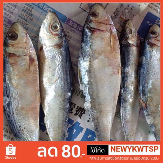 ปลาหลังเขียวแดดเดียว500กรัม สดใหม่จากทะเลปัตตานี