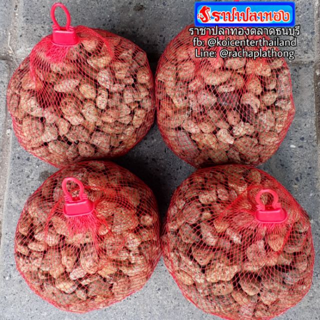 หินภูเขาไฟ ขนาด 1 กิโล พร้อมถุงตาข่าย
