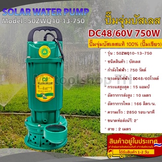 ปั๊มน้ำโซล่าเซลล์ บัสเลสแท้ DC48/60V 750W รุ่น 50ZWQ10-13-750 (ตัวปั๊มสีเขียว)