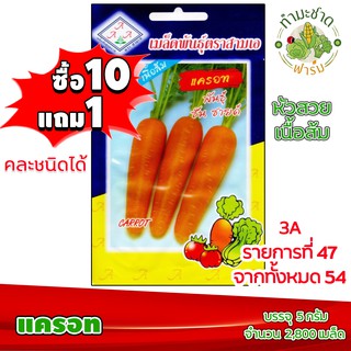 (ซื้อ10แถม1) เมล็ดพันธุ์ แครอท Carrot ประมาณ 1,500เมล็ด 3A สามเอ ผักสวนครัว เมล็ดพันธุ์พืช เมล็ดผัก เม็ดผัก พืชผัก