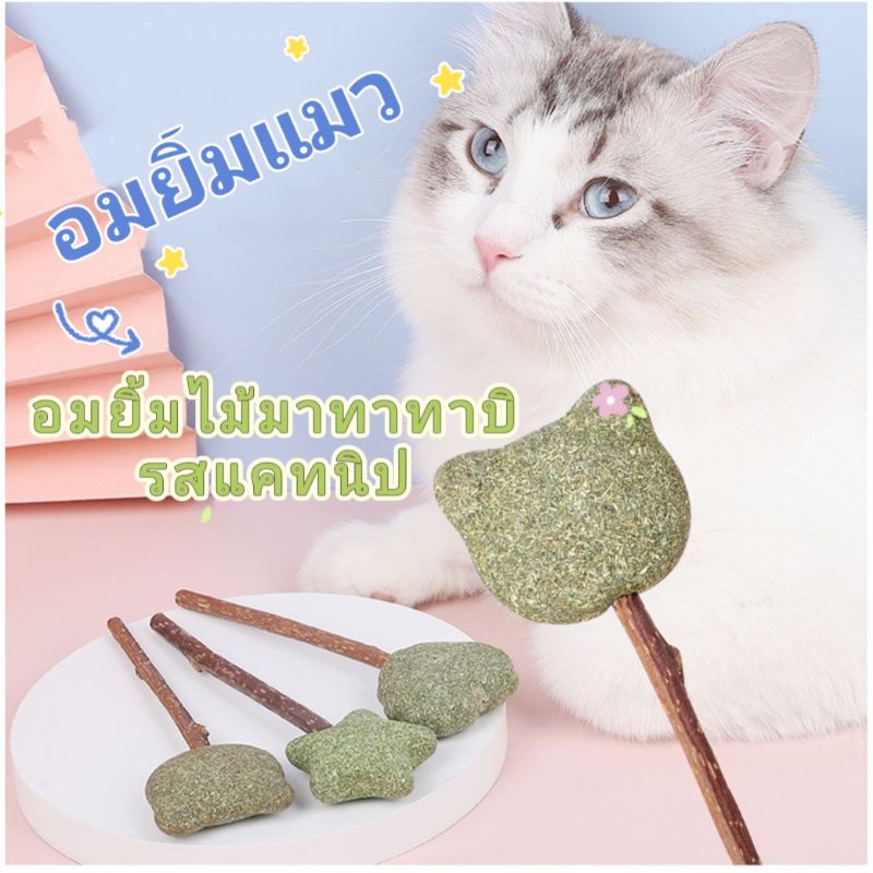 อมยิ้มแมว​ อมยิ้มไม้มาทาทาบิรสแคทนิป แคทนิปแท่ง​ ไม้มาทาทาบิ​ ไม้ขัดฟันแมว​ อมยิ้มขัดฟันแมว​ แคทนิปแมว​ กัญชาแมว​ ขนมแมว