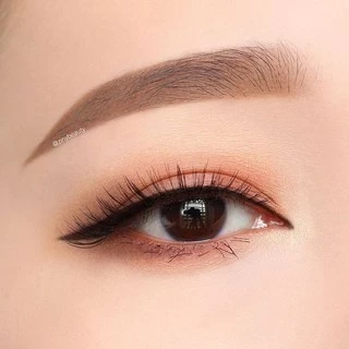 1ชิ้น (แท่งสีทอง) ดินสอเขียนคิ้ว รุ่นมีกบเกลา จับถนัดมือ ashley premium eyebrow pencil