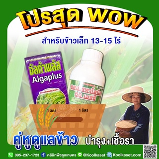 คู่หูดูแลข้าว บำรุง เชื้อรา ช่วงข้าวเล็ก 13-15 ไร่ รักษาโรคใบไหม้ ใบจุด บำรุงข้าวใบเขียว ต้นแข็งแรง คูลเกษตร KK300