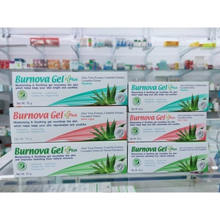 Burnova gel plus 25/70กรัม เจลใสว่านหางจระเข้ บำรุงผิว