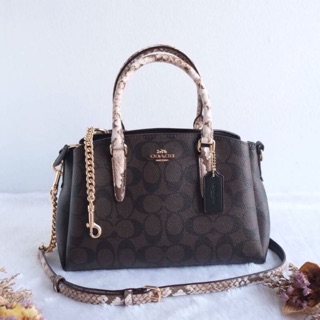 Coach F31436 mini sage carryall