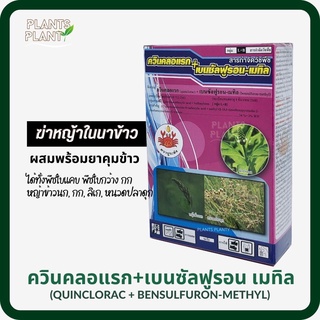 ควินคลอแรก+เบนซัลฟูรอนเมทิล 100กรัม quinclorac+bensulfuron-methyl สารกำจัดวัชพืช ผสมพร้อมยาคุมข้าว กำจัดวัชพืชใบแคบ